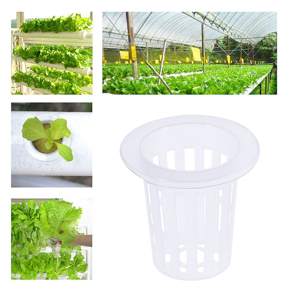 10pcs Hydroponic Vegetable Net - Plant Pot 评论和价格