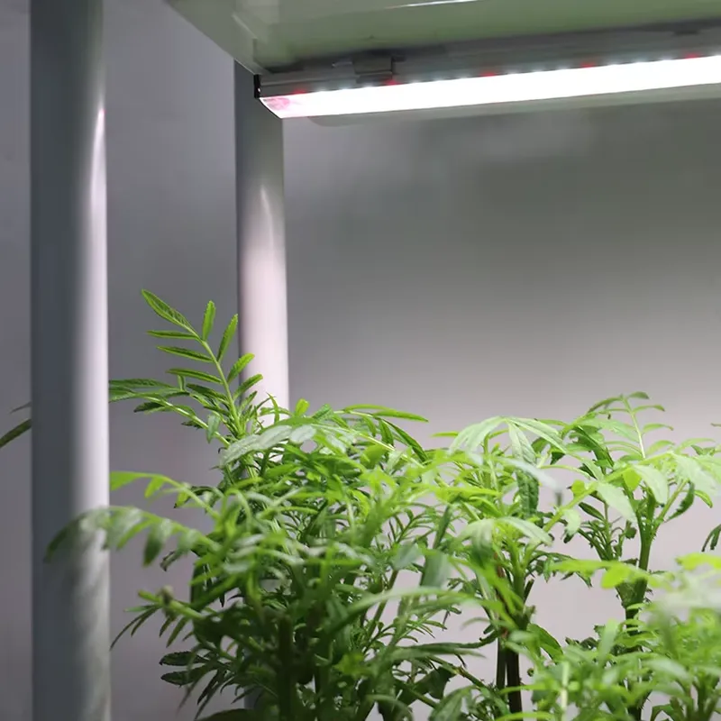 Movable Vertical Grow 3 Level  - Self Watering Planter 评论和价格