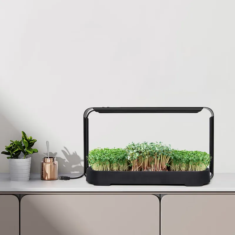 Microgreens Self Watering Hydr - Self Watering Planter 评论和价格
