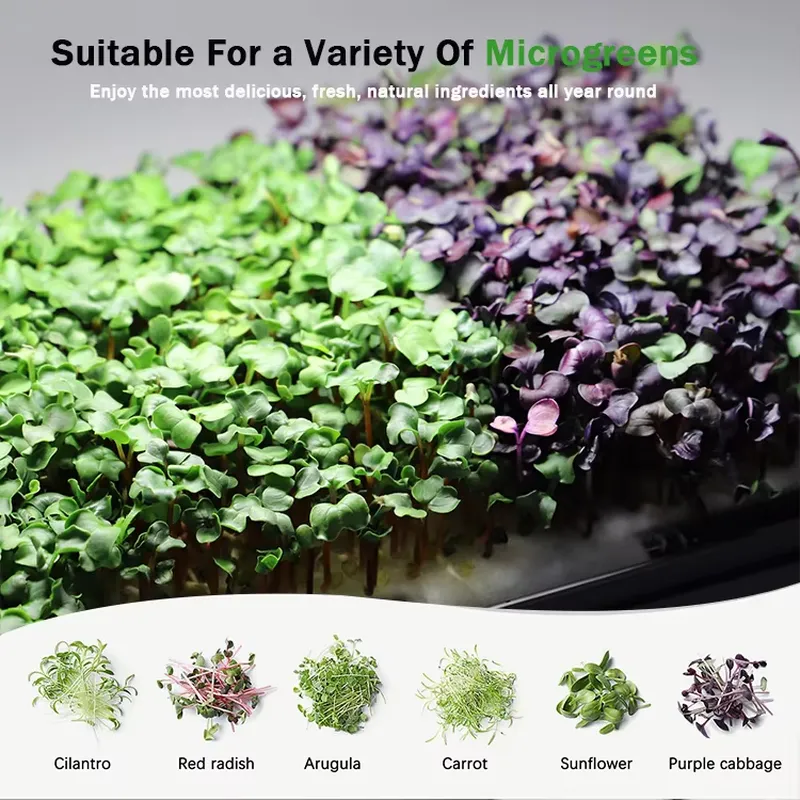 Microgreens Self Watering Hydr - Self Watering Planter 评论和价格