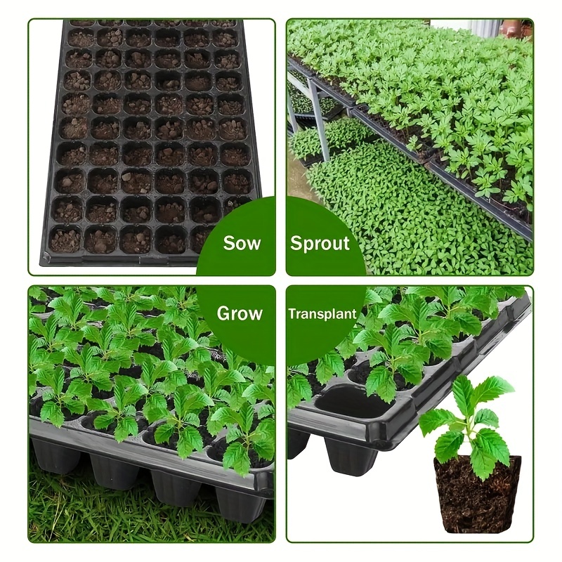 10-20 Nursery Tray, Greenhouse - Seed Starter Tray 评论和价格