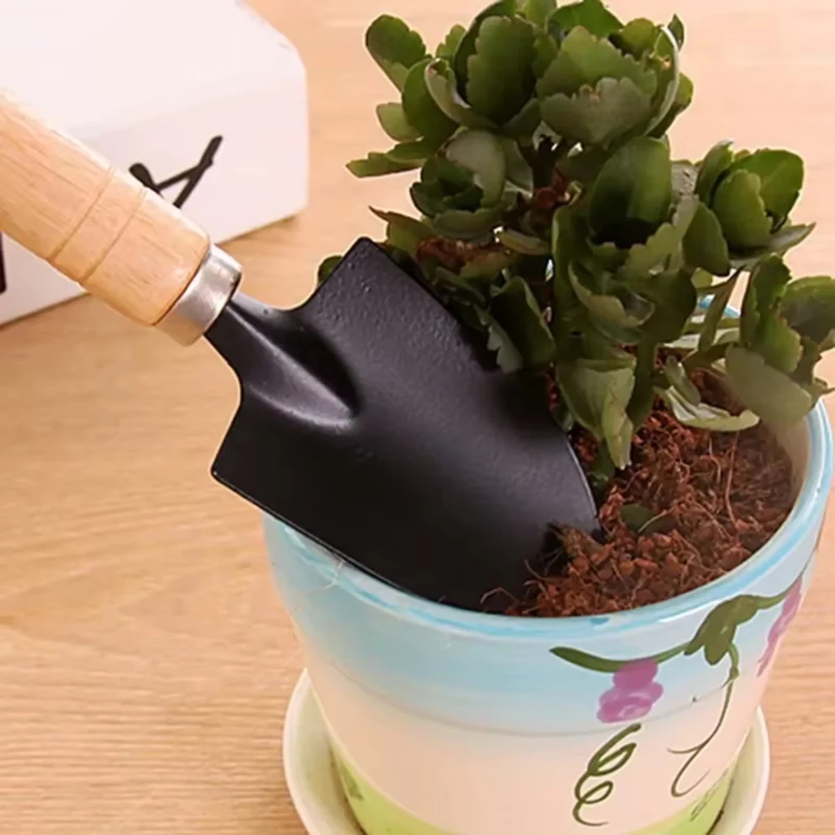 3Pcs/Set Mini Garden Tool Set  - Indoor Herb Garden 评论和价格