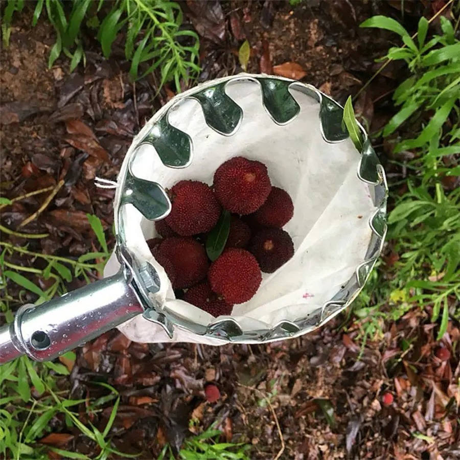 3-in-1 Fruit Harvesting Tool S - Grow Bag 评论和价格