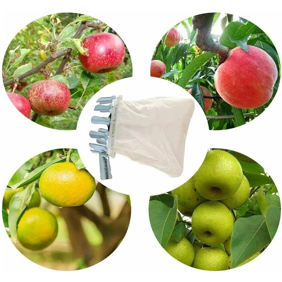 3-in-1 Fruit Harvesting Tool S - Grow Bag 评论和价格