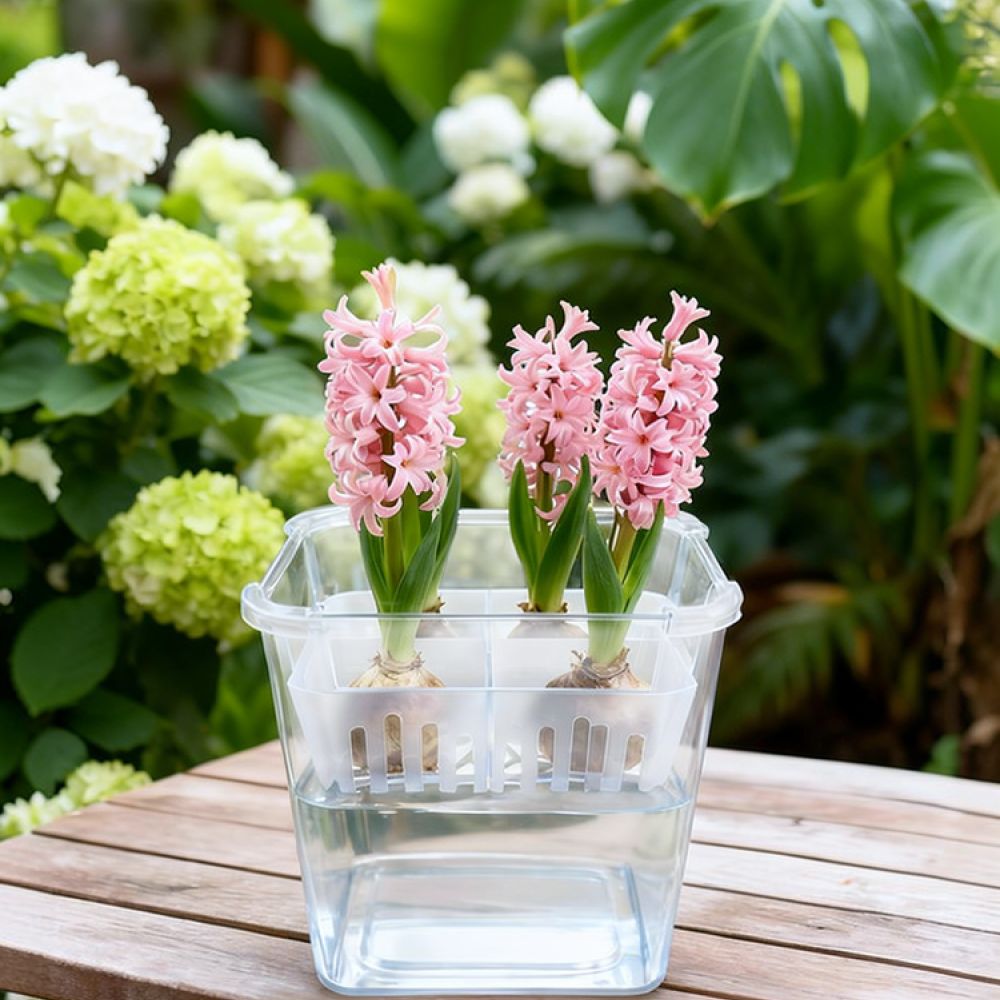 Hydroponic Vase For Tulip Lily - Plant Pot 评论和价格