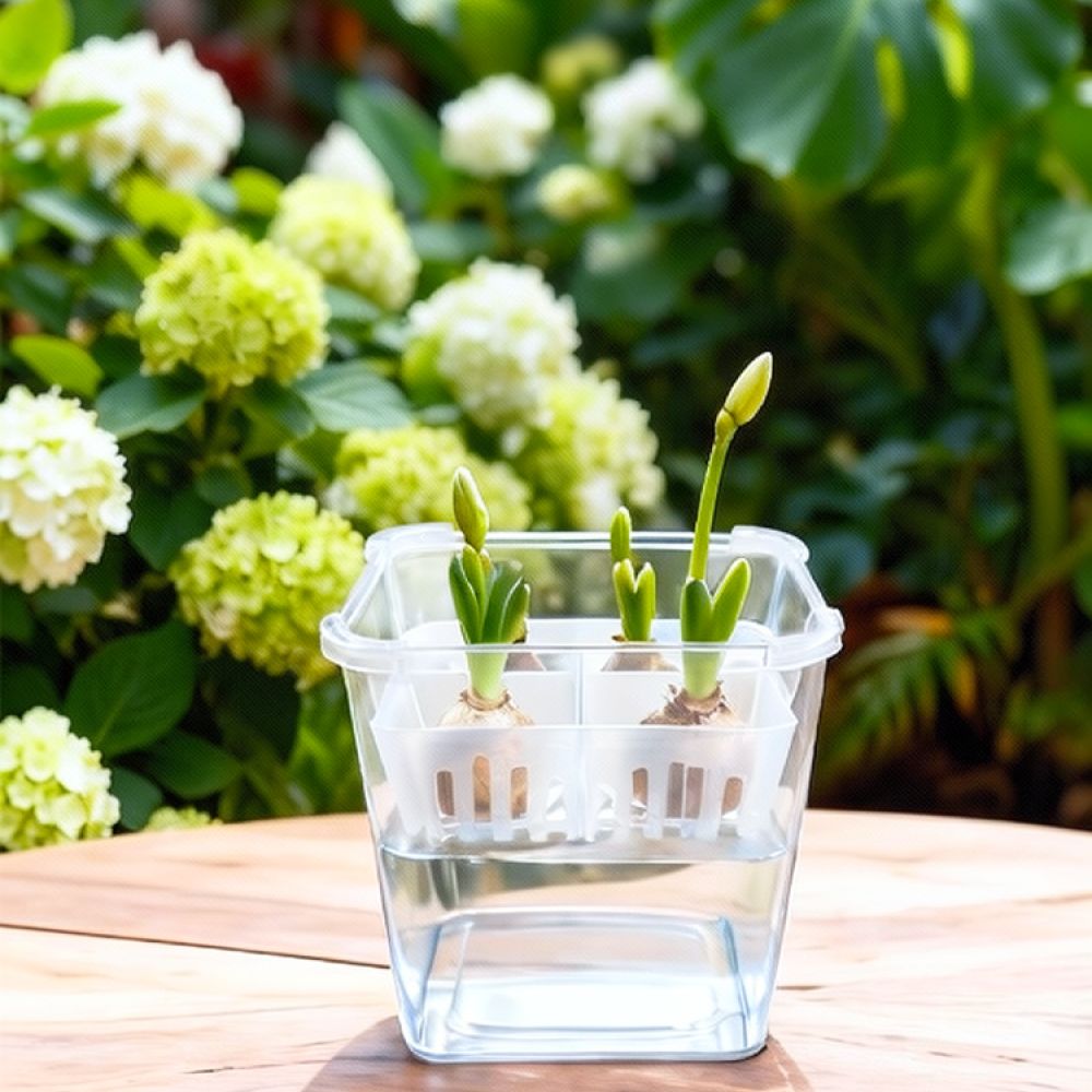 Hydroponic Vase For Tulip Lily - Plant Pot 评论和价格