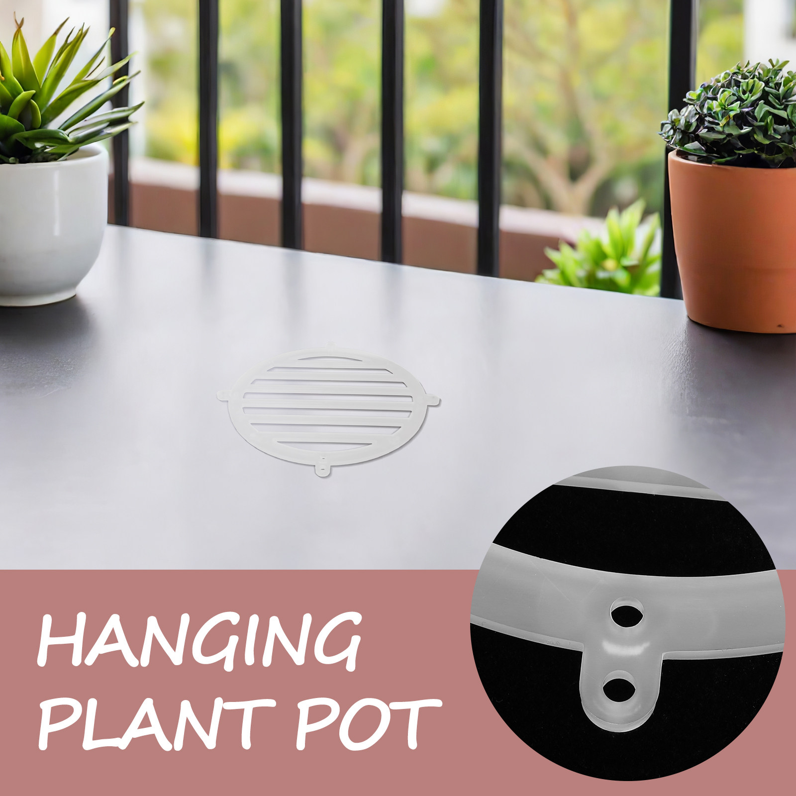 2Pcs Fern Hanging Board 15Cm A - Vertical Planter 评论和价格