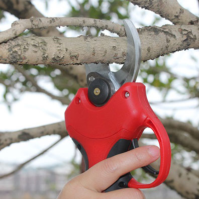 High-Quality Non-Slip Handle G - Pruning Shears 评论和价格