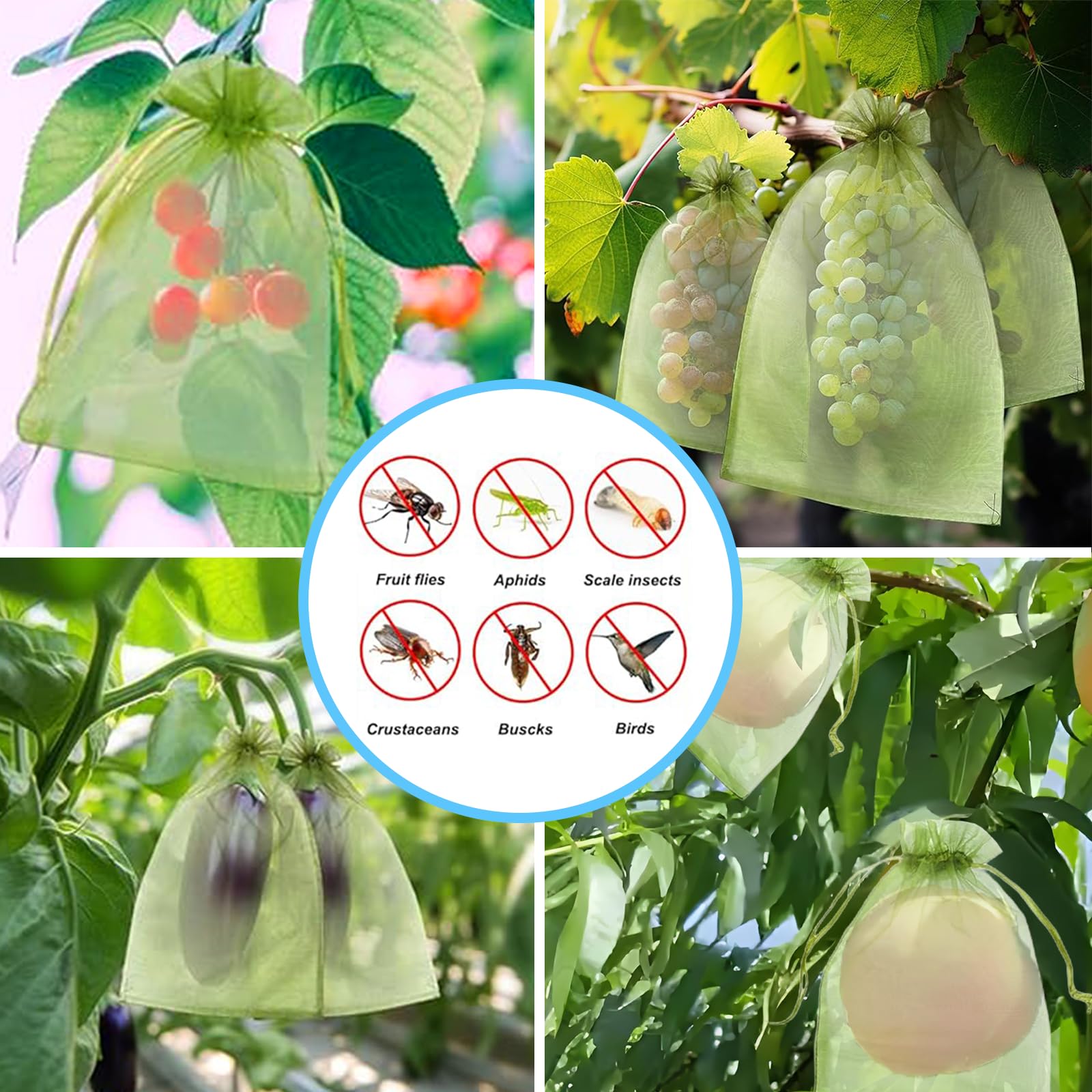 Effective Anti-Bird Netting Fr - Grow Bag 评论和价格