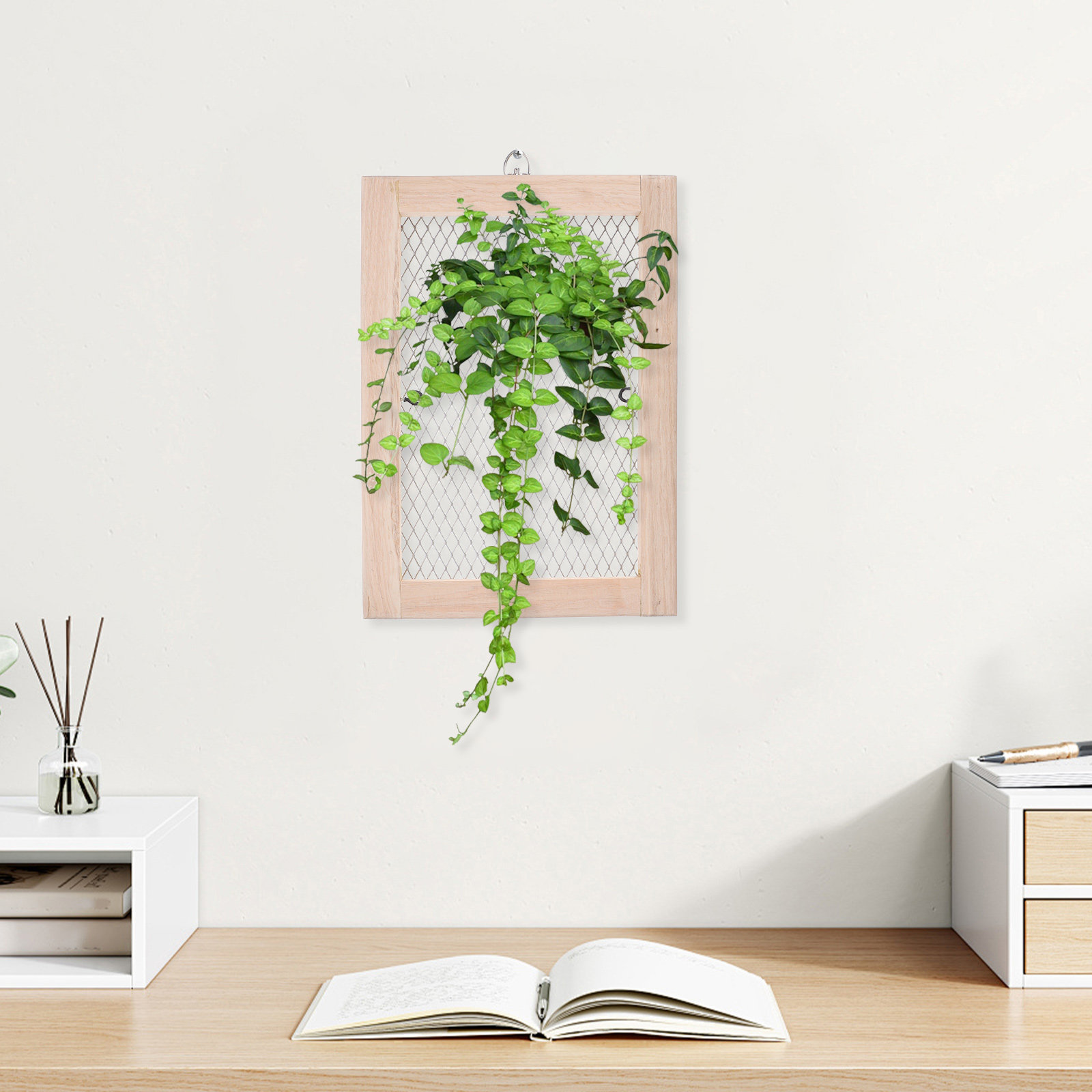 Staghorn Fern Mounting Board – - Vertical Planter 评论和价格