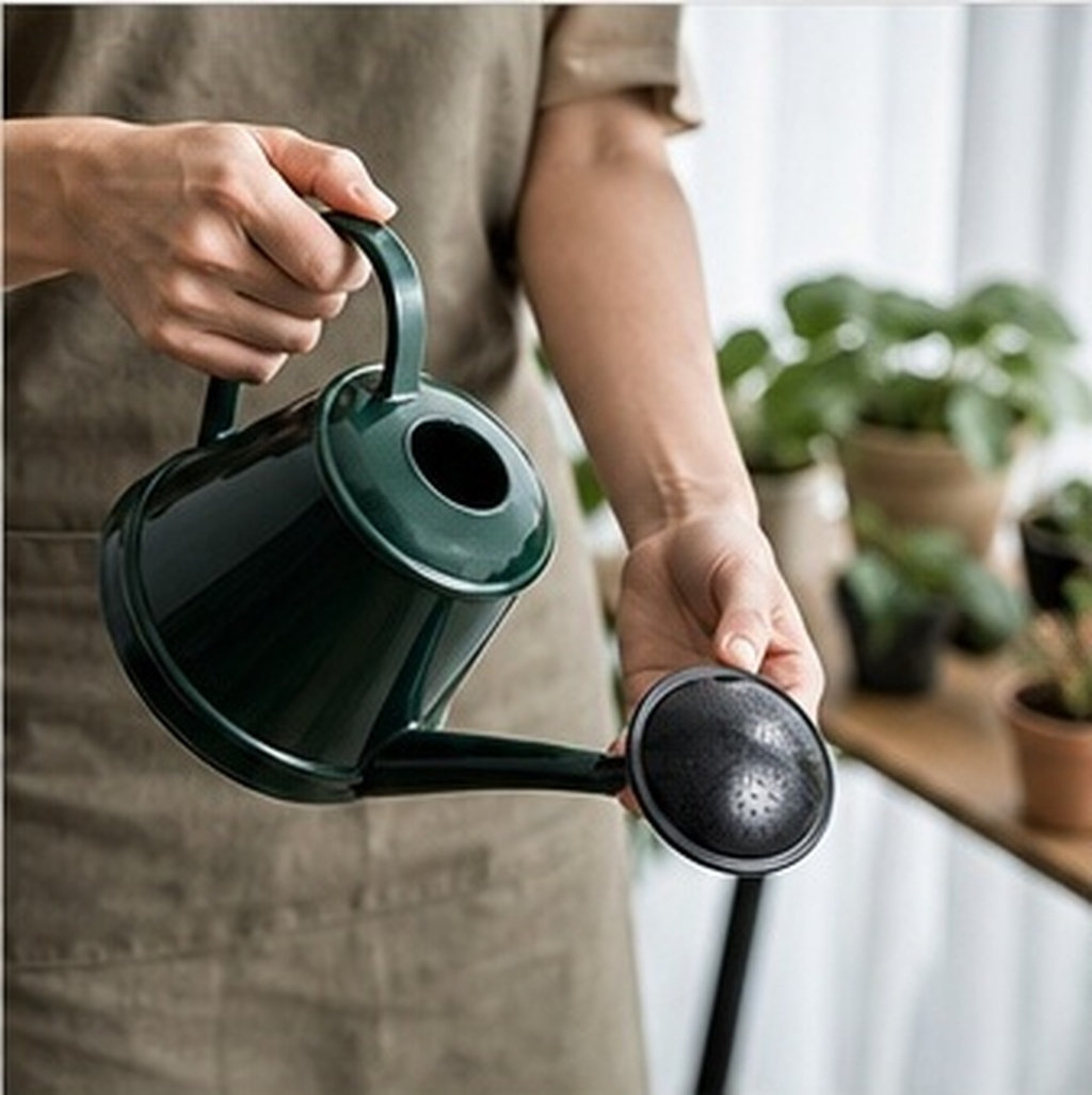 Watering Can Sprinkler Head 6  - Watering Can 评论和价格