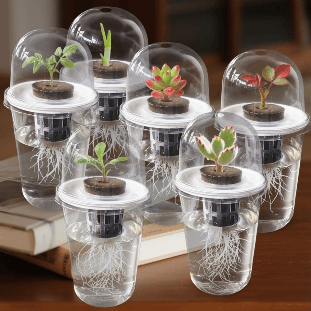 1-5pc Visible Clear Plants Ger - Seed Starter Tray 评论和价格