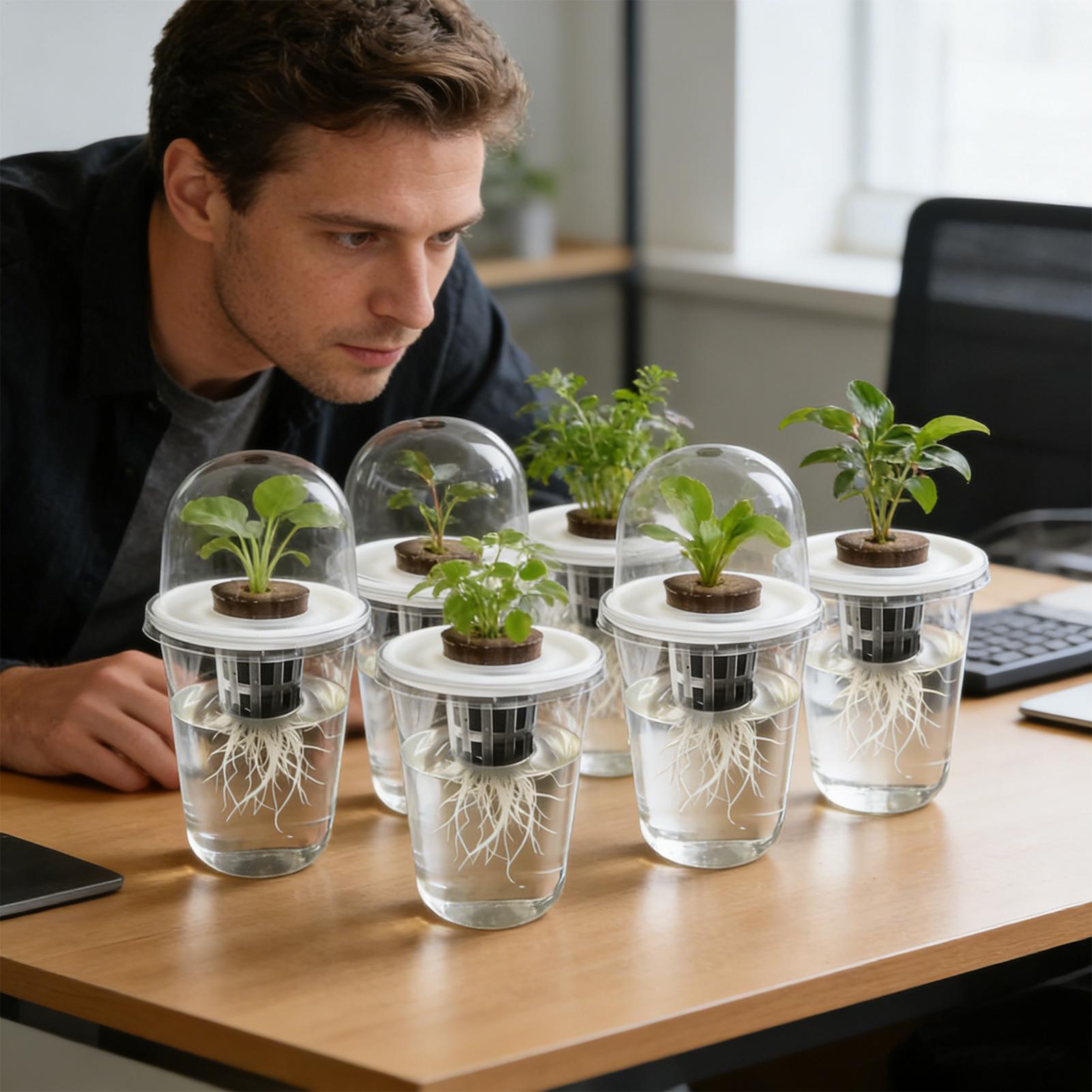 1-5pc Visible Clear Plants Ger - Seed Starter Tray 评论和价格