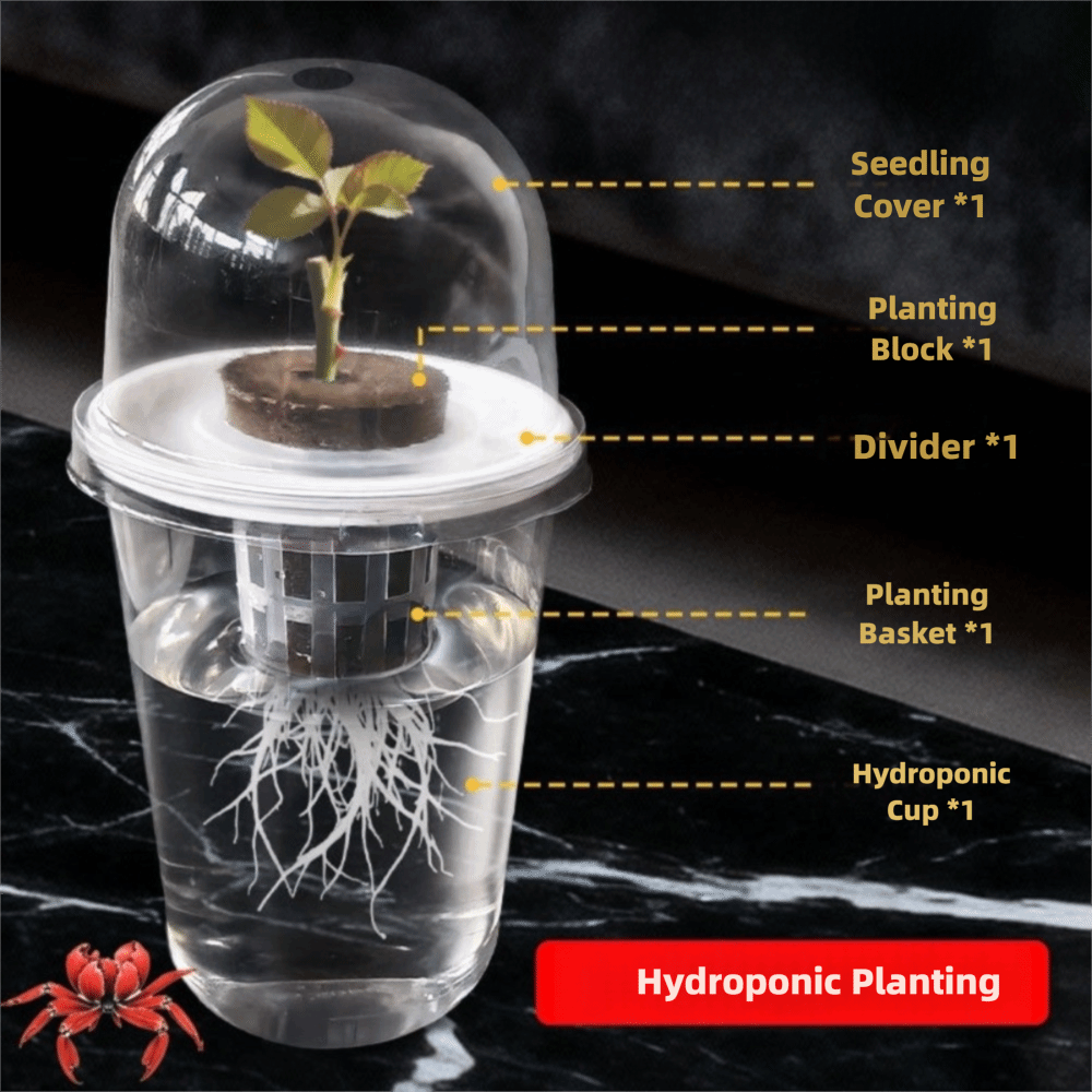 1-5pc Visible Clear Plants Ger - Seed Starter Tray 评论和价格