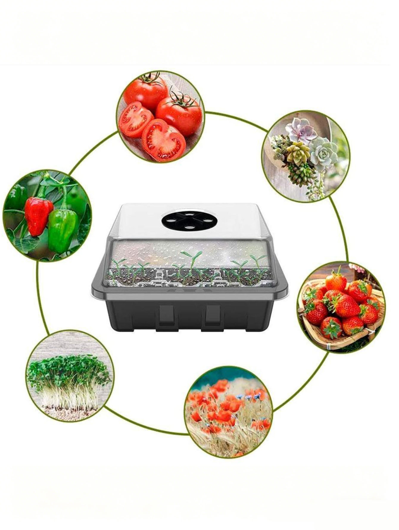1/2pc 6/12-Hole Seedling Tray, - Seed Starter Tray 评论和价格