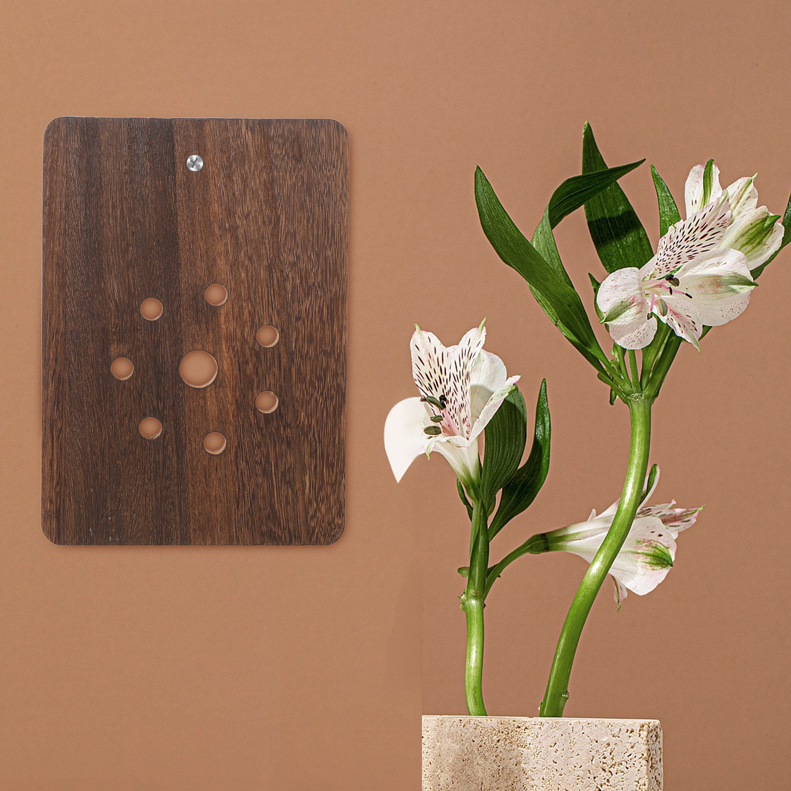 Staghorn Fern Mounting Board S - Vertical Planter 评论和价格