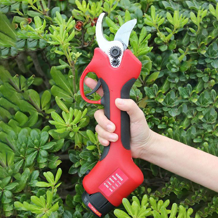 25-40mm Cutting Orchard Vineya - Pruning Shears 评论和价格