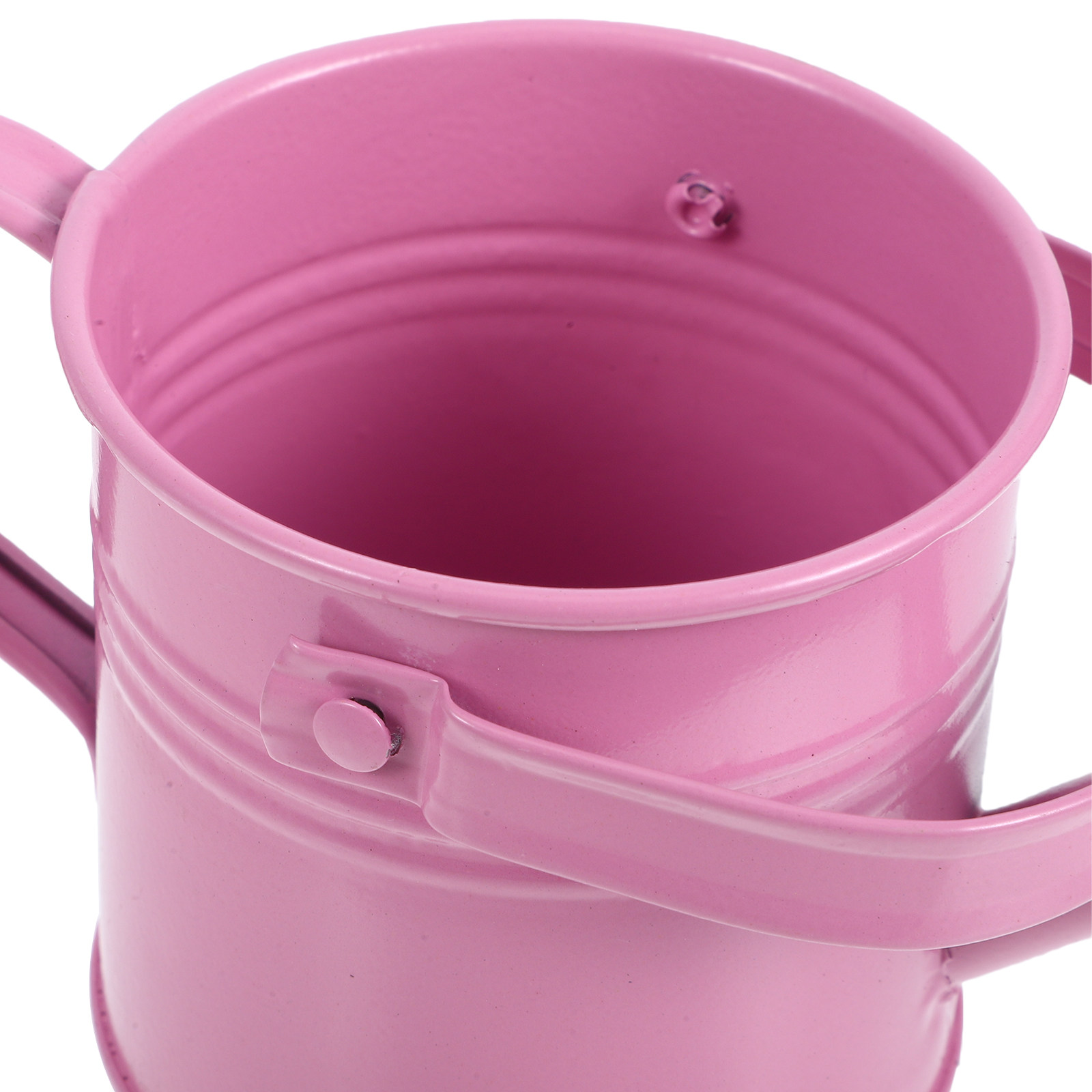 Mini Metal Watering Can Flower - Watering Can 评论和价格