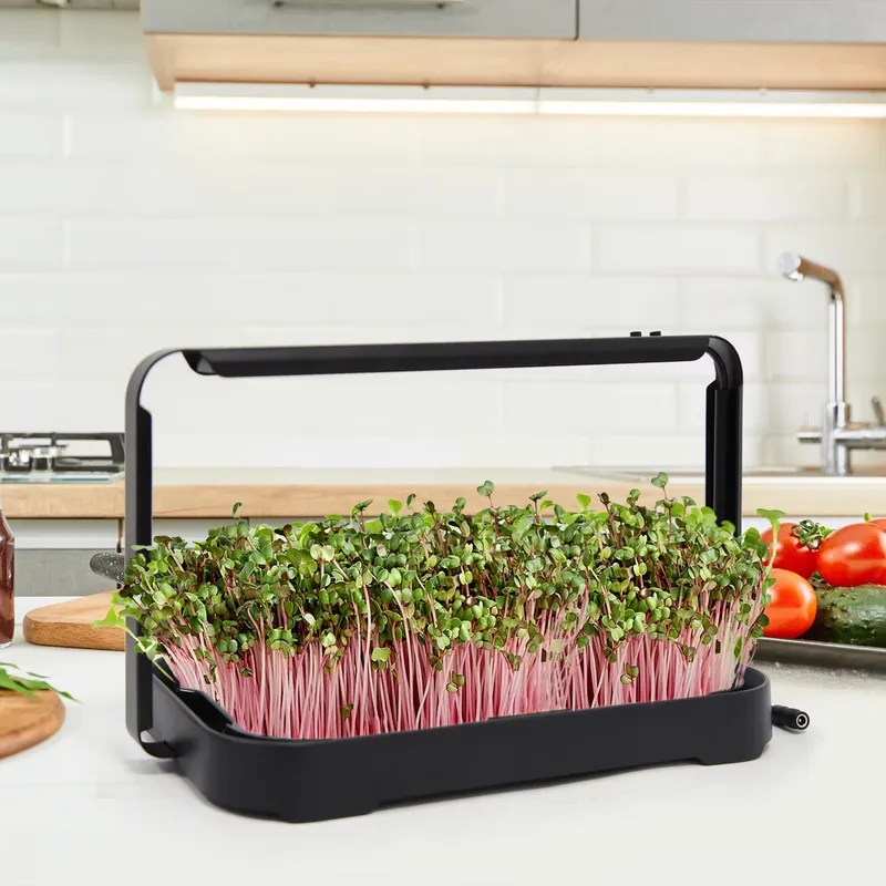 Hydroponic Tray Indoor Microgr - Hydroponic Kit 评论和价格