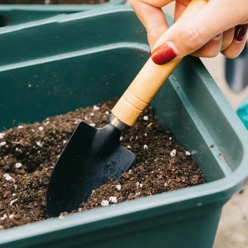 3Pcs/Set Mini Gardening Tools  - Trowel Garden Tools 评论和价格