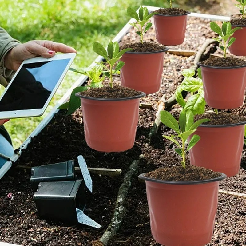 100/20x Seeding Nursery Pot Bl - Seed Starter Tray 评论和价格