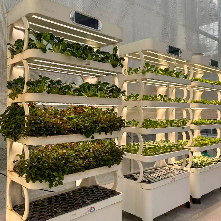 Intelligent Indoor Garden Plan - Grow Light Led 评论和价格