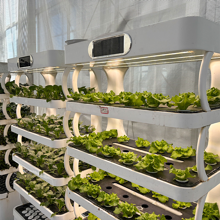 Intelligent Indoor Garden Plan - Grow Light Led 评论和价格