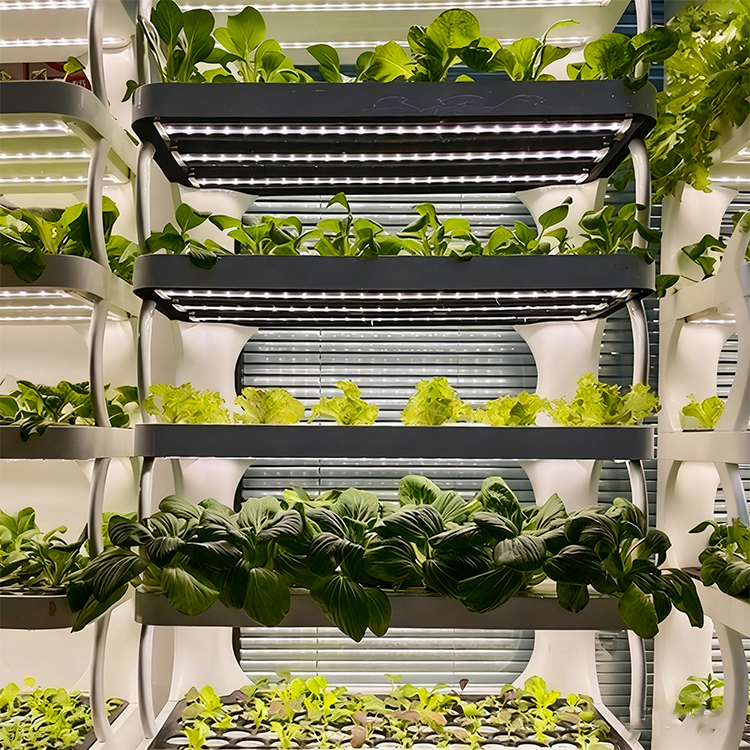 Intelligent Indoor Garden Plan - Grow Light Led 评论和价格
